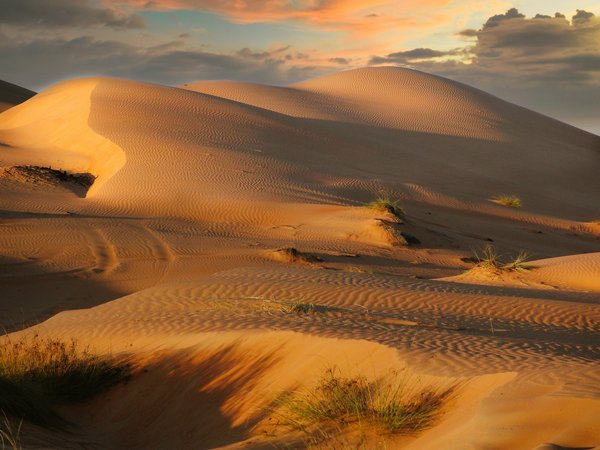 Comment organiser un camping pour une expédition de trek dans le désert du Sahara?