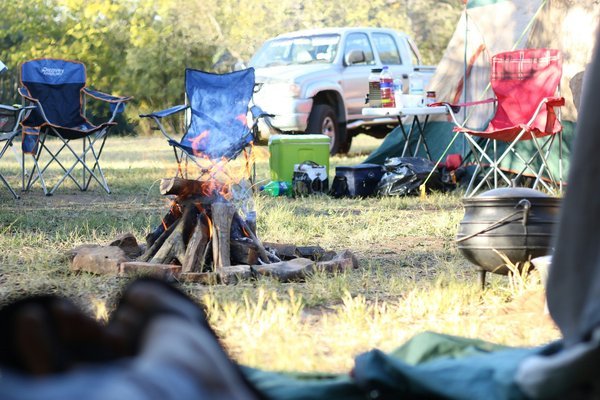 Quels sont les conseils pour un camping en région de forêts de conifères en été?