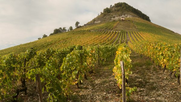 Où faire du vélo dans les vignobles de la région de Bordeaux, France?